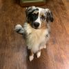 emma.2.037