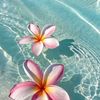 prettyslxtt._