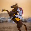 عبدالمحسن 4K