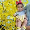 phan.phng843