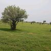 user37019022478367