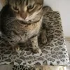 jimmyanddidi