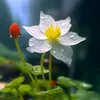 hong.duy2968