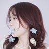 aijun24