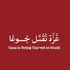 khadijetou220