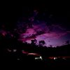wsmy_99