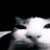 sickn_fxli