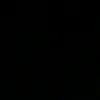 zpn_7