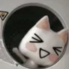 oii_pry