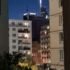 panciastwczkogoat