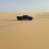 آسد الصحرء