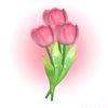 _namaaj110_