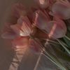 vvelvetblush