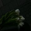 black_writer21
