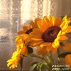 anan_626