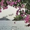 ngat.ngat64