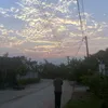 phh_nhii4