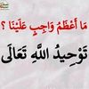user50056394565527