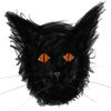mycattitude9