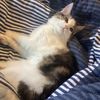 emily_just_chillin