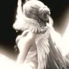 shimmy_86