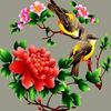 thanh70145