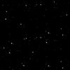 novv_455