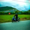 tlong772