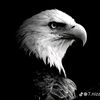 user__3425