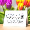 mohamed.kamal5896