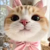 thanhtrang5068