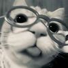 its_kiki0912