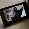lonyeuanh38