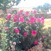 user8220154116167