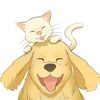 petdaily312