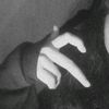 yuelma_loquis