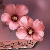 eomomer