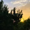 h_ho482