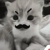 hesbakqoq