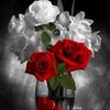 user117014888