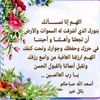 user80067753263773