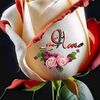 user5574761277663