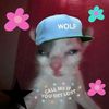 gatolover_x