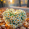 sevda_260546