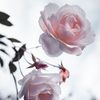 user745613162