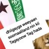jjjamaalsiciidcali0