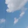 andreicam1