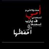 user7445563626614