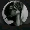 roro.al.toooob