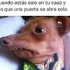 sebastiancaro85